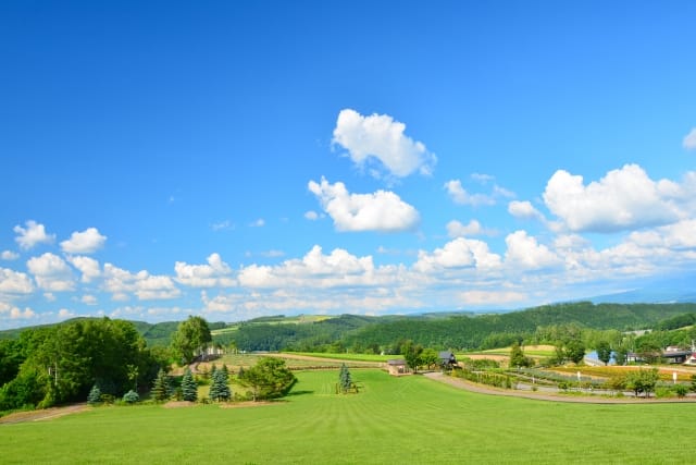 農地転用できる農地と、できない農地があります。どんな条件があるのでしょうか?
